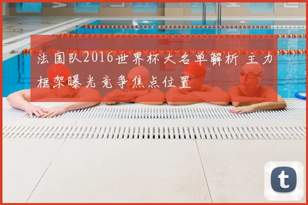 法国队2016世界杯大名单解析 主力框架曝光竞争焦点位置