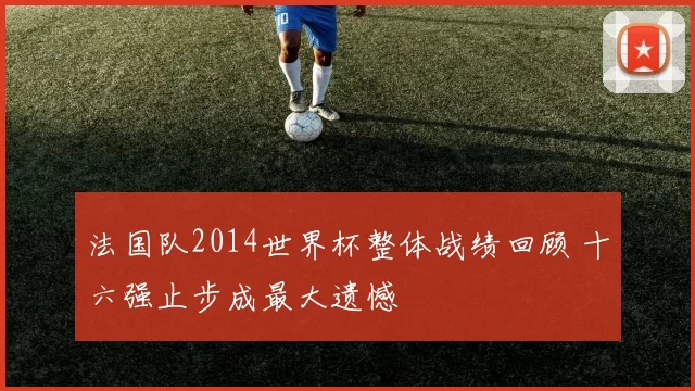 法国队2014世界杯整体战绩回顾 十六强止步成最大遗憾