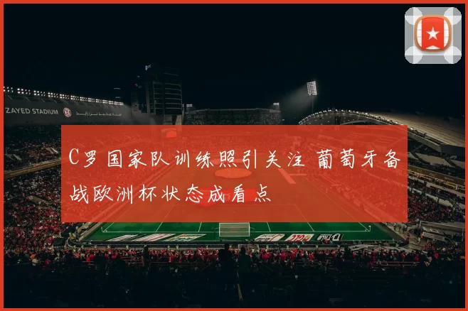 C罗国家队训练照引关注 葡萄牙备战欧洲杯状态成看点