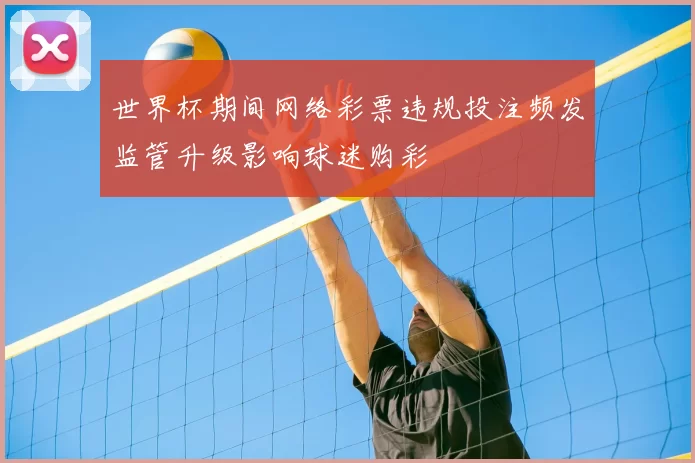 世界杯期间网络彩票违规投注频发监管升级影响球迷购彩