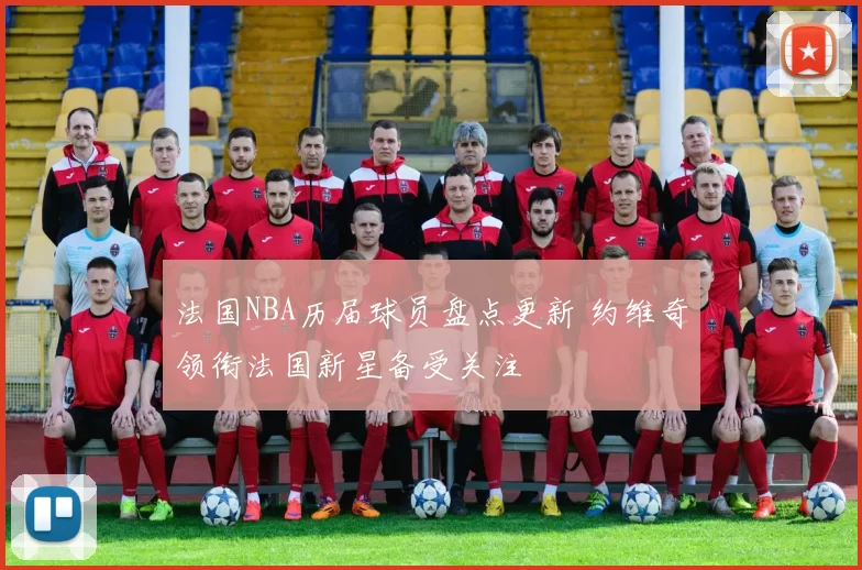 法国NBA历届球员盘点更新 约维奇领衔法国新星备受关注