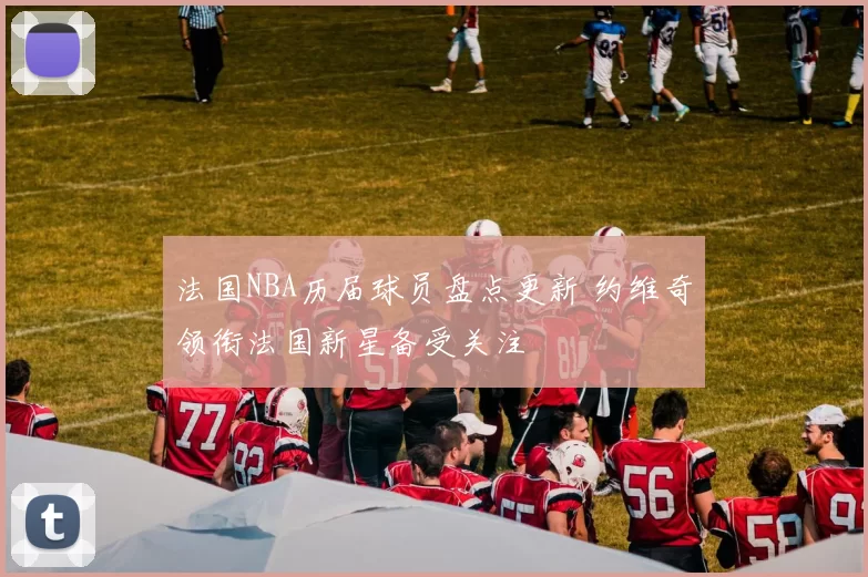 法国NBA历届球员盘点更新 约维奇领衔法国新星备受关注