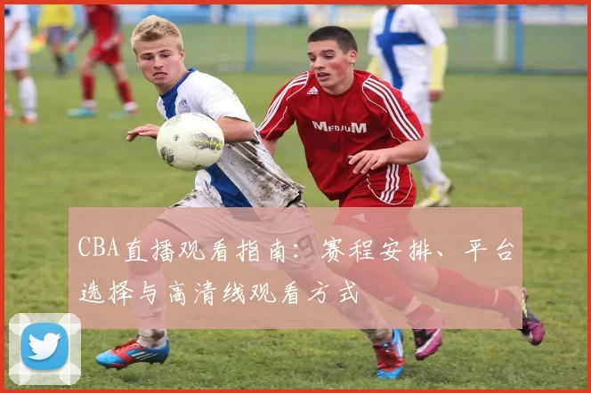 CBA直播观看指南：赛程安排、平台选择与高清线观看方式