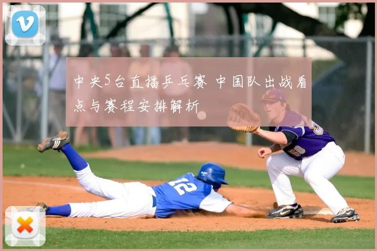 中央5台直播乒乓赛 中国队出战看点与赛程安排解析