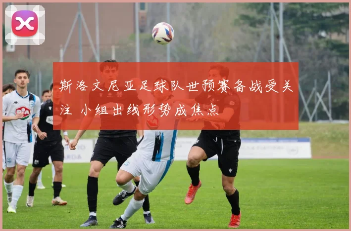 斯洛文尼亚足球队世预赛备战受关注 小组出线形势成焦点