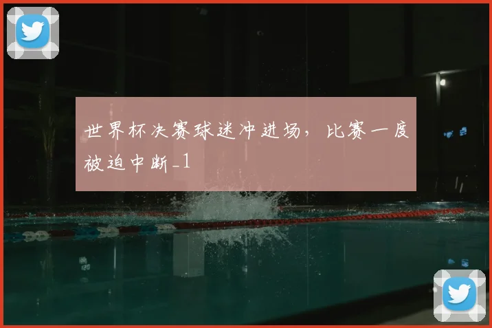 世界杯决赛球迷冲进场,比赛一度被迫中断_1