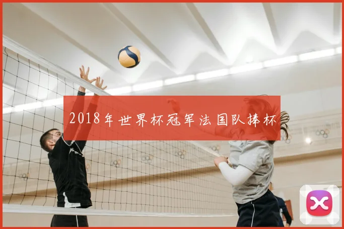 2018年世界杯冠军法国队捧杯
