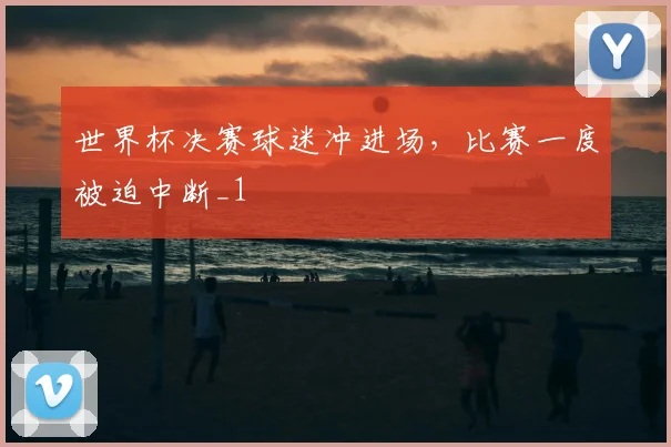 世界杯决赛球迷冲进场,比赛一度被迫中断_1