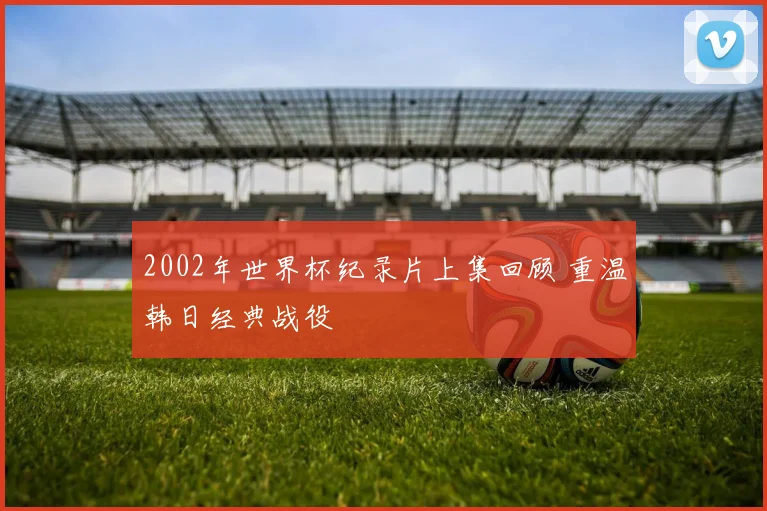 2002年世界杯纪录片上集回顾 重温韩日经典战役