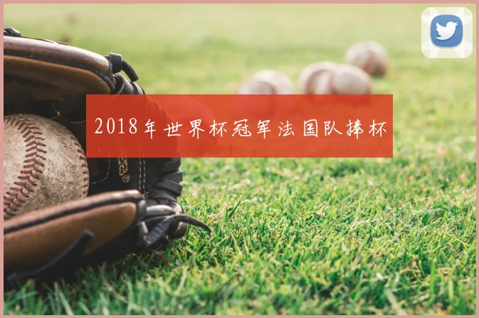 2018年世界杯冠军法国队捧杯